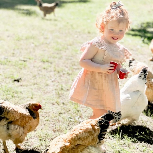 Young child in a dress holding cups, surrounded by chickens in a sunny yard.