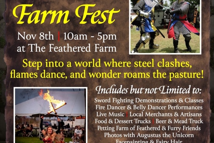Medieval Farm Fest flyer with event details, knights, and fire dancer images.