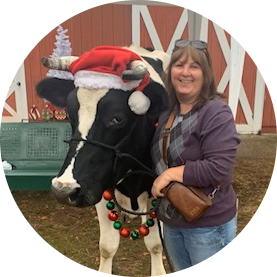 cropped_circle_image Person standing next to a cow wearing a Santa hat and festive collar in front of a barn.