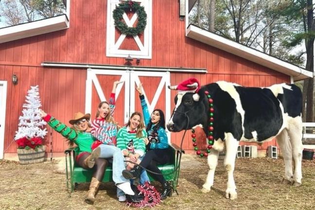Four people in festive sweaters sit by a cow in front of a decorated barn.