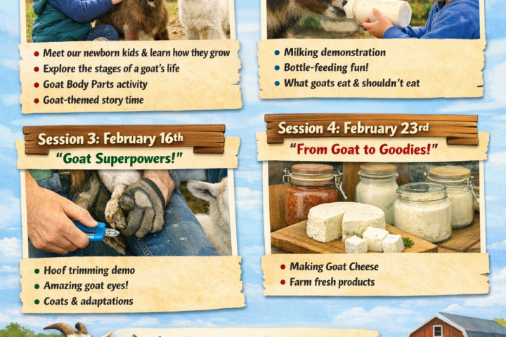 Farm poster for a four-week goat adventure series with sessions, activities, and images of goats and a barn.