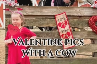 Girl in red dress and a cow at a Valentine-themed booth in front of a barn.