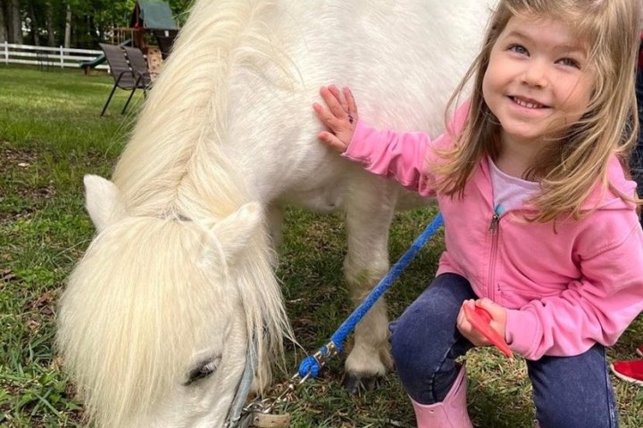 Smiling girl in pink kneels beside a white pony on a grassy field.